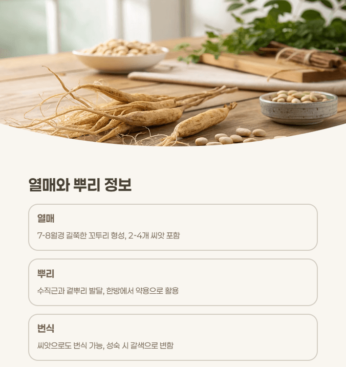 골담초 열매