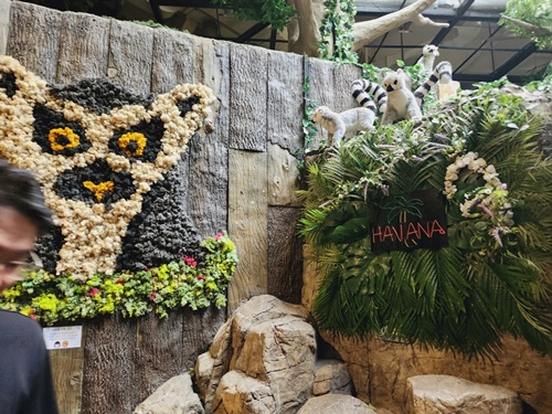 아쿠아플라넷 일산 할인 입장권 저렴한곳 + 다녀온 후기