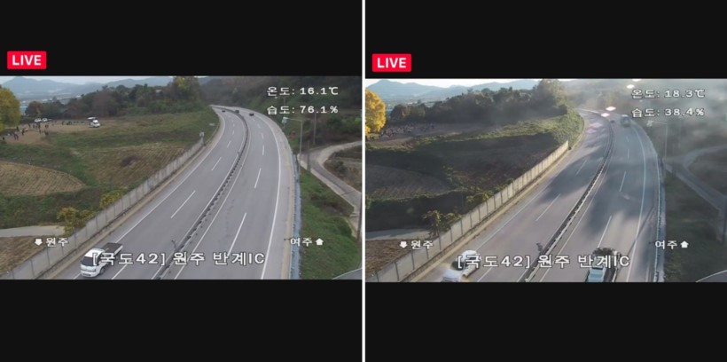 반계리 은행나무 CCTV 어디서 볼 수 있을까? 실시간 뷰 가이드