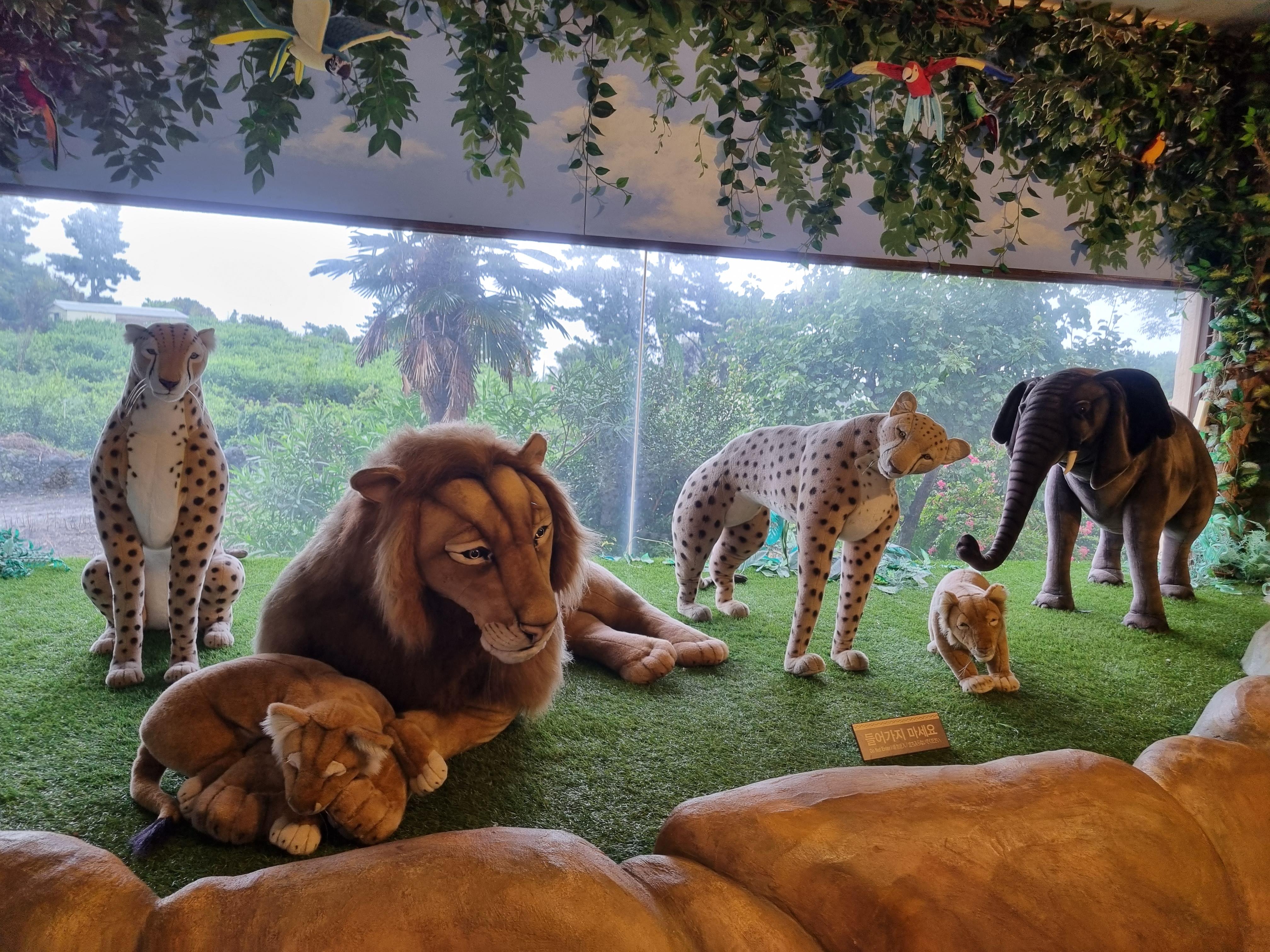 아프리카 박물관