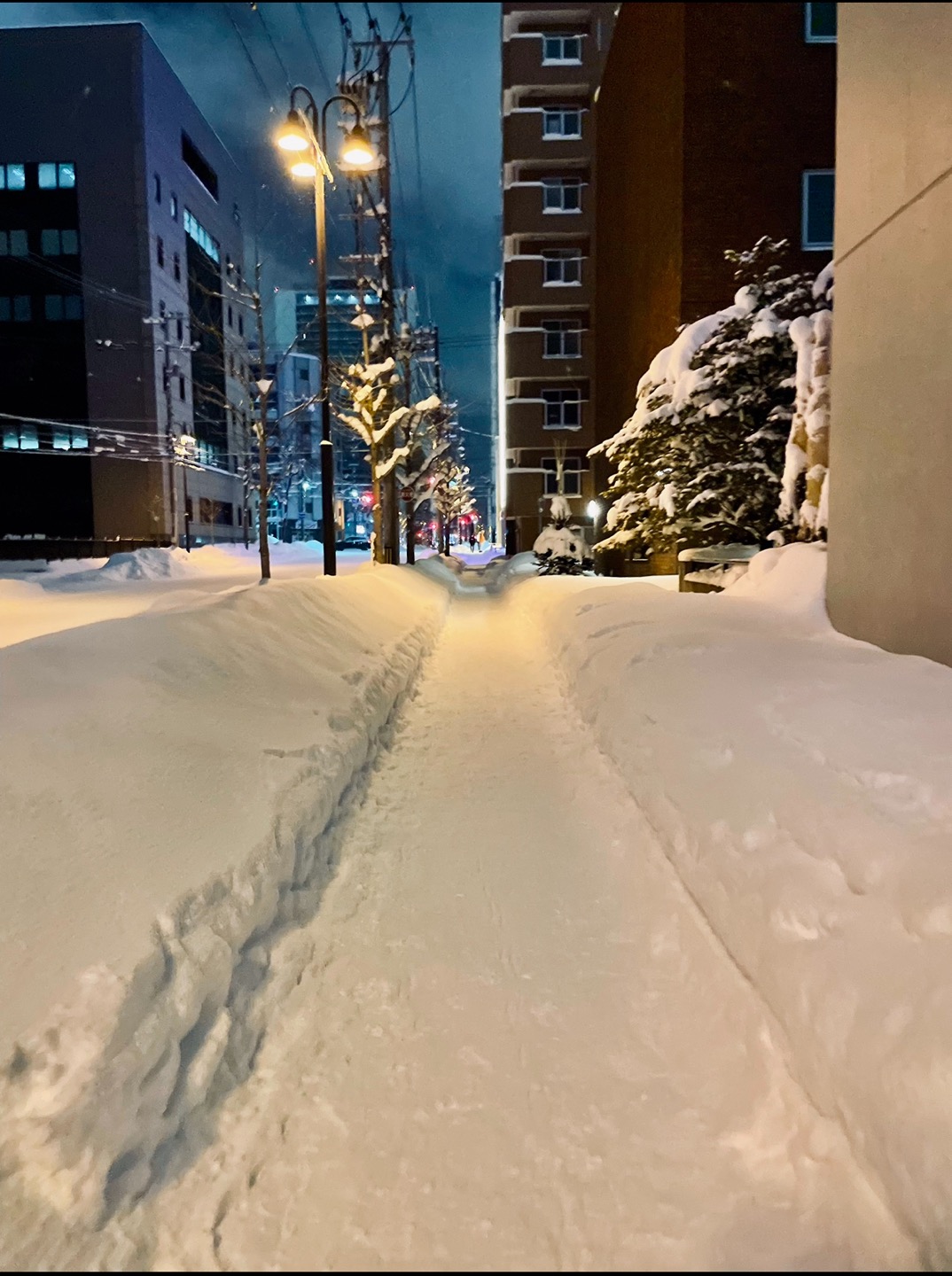 Kushidori Tokeidaidori 가는길 눈덮힌 삿포로