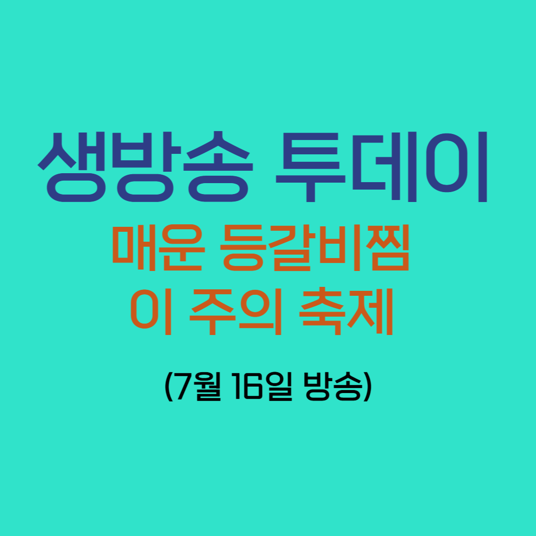 생방송 투데이 매운등갈비찜 이주의 축제