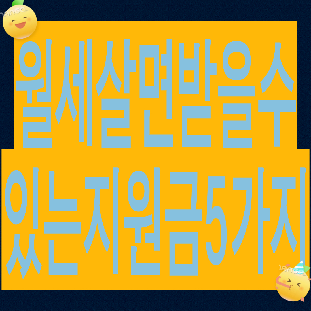 월세 살면 받을 수 있는 정부지원금 5가지 (최대 월 52만원) 청년 주거지원총정리