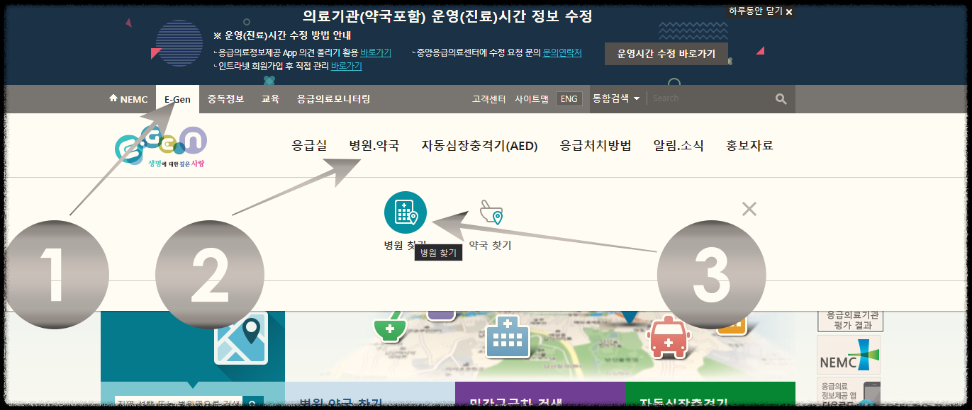 중앙응급의료사이트