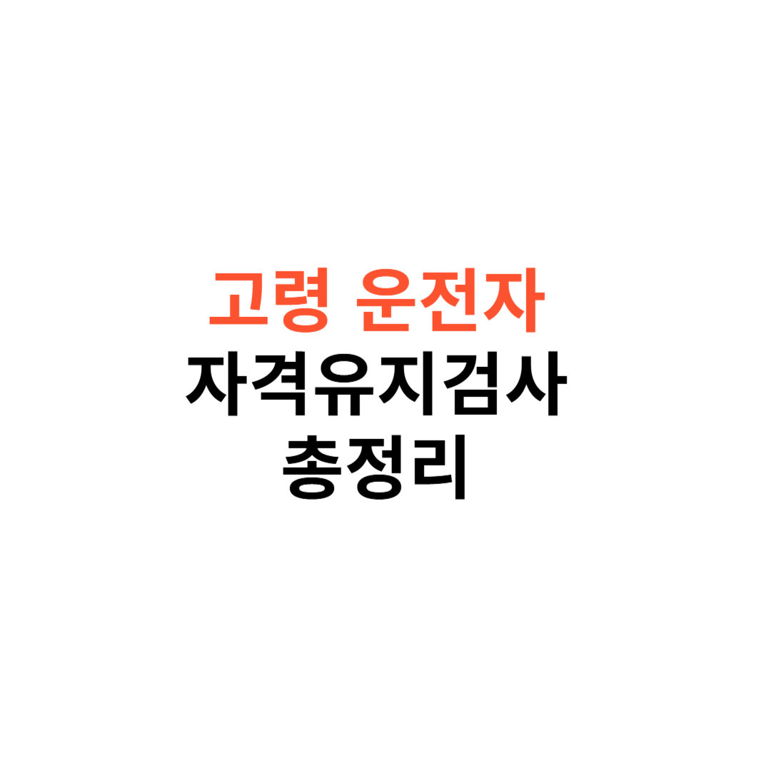 고령 운전자 자격유지검사