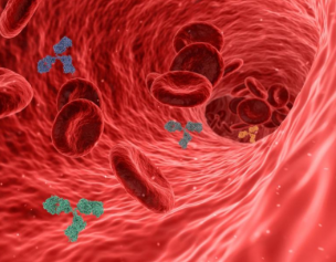 킬레이션치료 혈관 해독