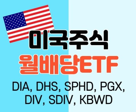 미국 배당 ETF