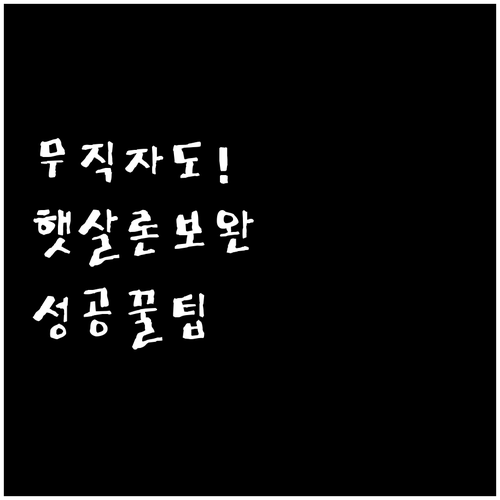 무직자나 저신용자도 가능한 햇살론 보..