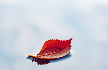 검버섯이 생기는 이유 총정리 7