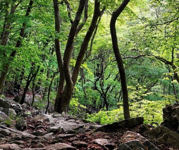 공주 가볼만한곳 베스트 10