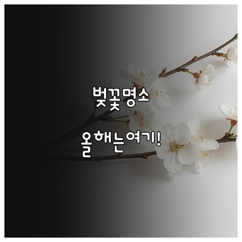 일산 호수공원과 성저공원 벚꽃 시기 ..