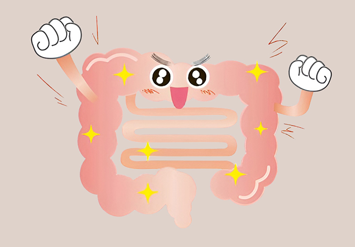 건강한-소화기관