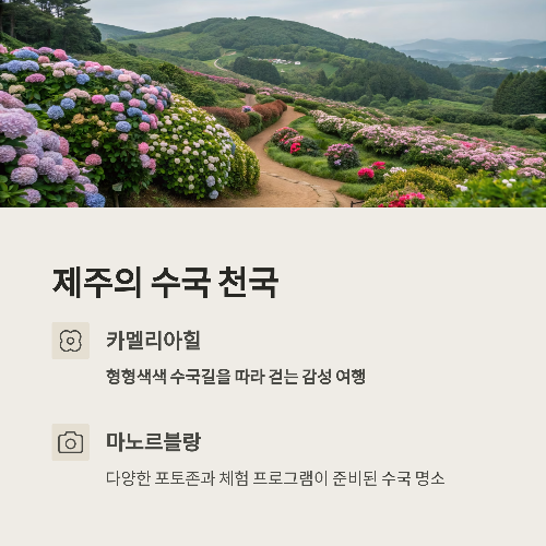 6월에 꼭 떠나야 할 감성 힐링 국내 여행지 TOP 5
