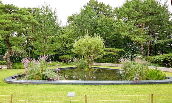 녹지원 산책로 풍경