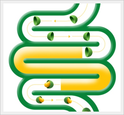 알파CD 제품 효능