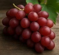 포도 종류