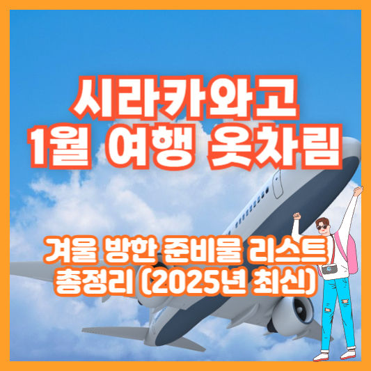 시라카와고 전망대 완전 비교｜오전 vs 야경 뷰포인트 어디가 최고일까?