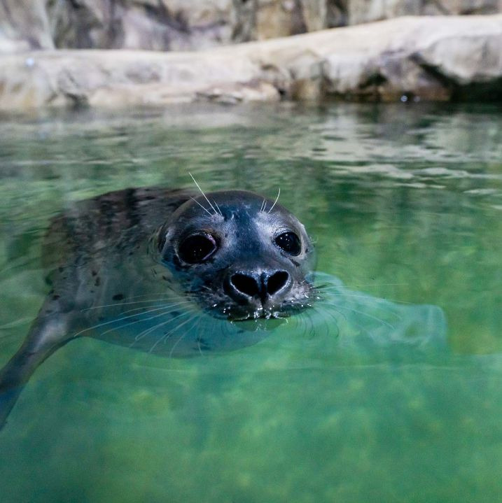 플레이아쿠아리움 부천 