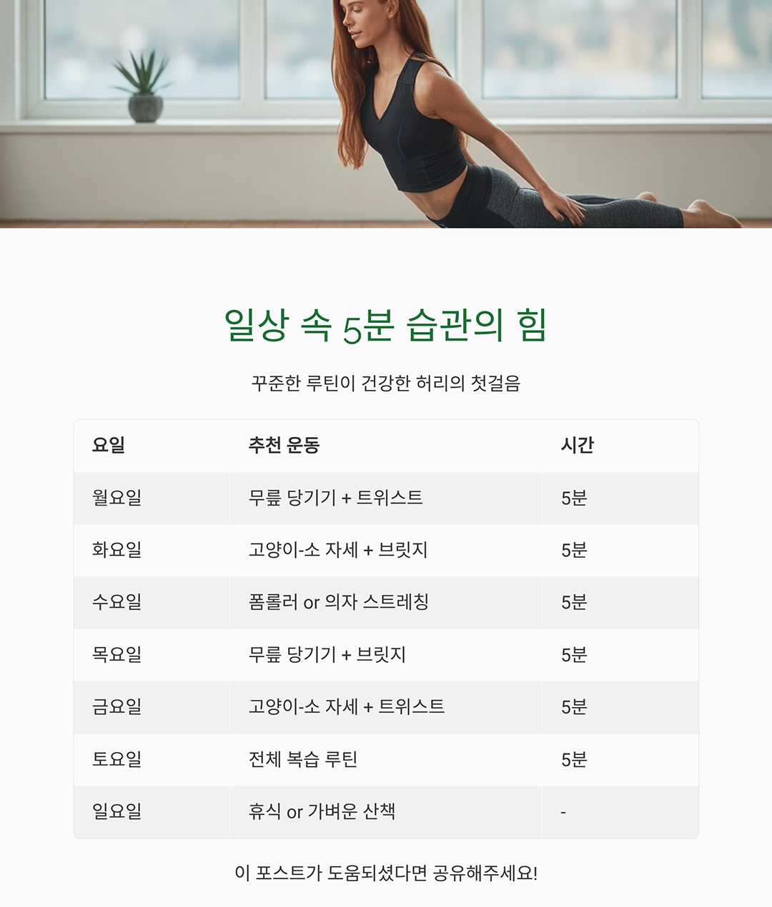 허리 통증 완화 운동, 하루 5분이면 충분한 이유