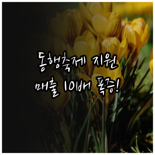 2025 대한민국 동행축제 지원 자격..