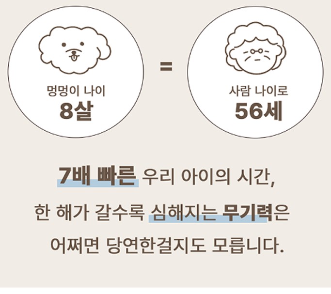 강아지-8살-나이와-사람나이-56세와-같다는-것을-보여주고-있습니다.