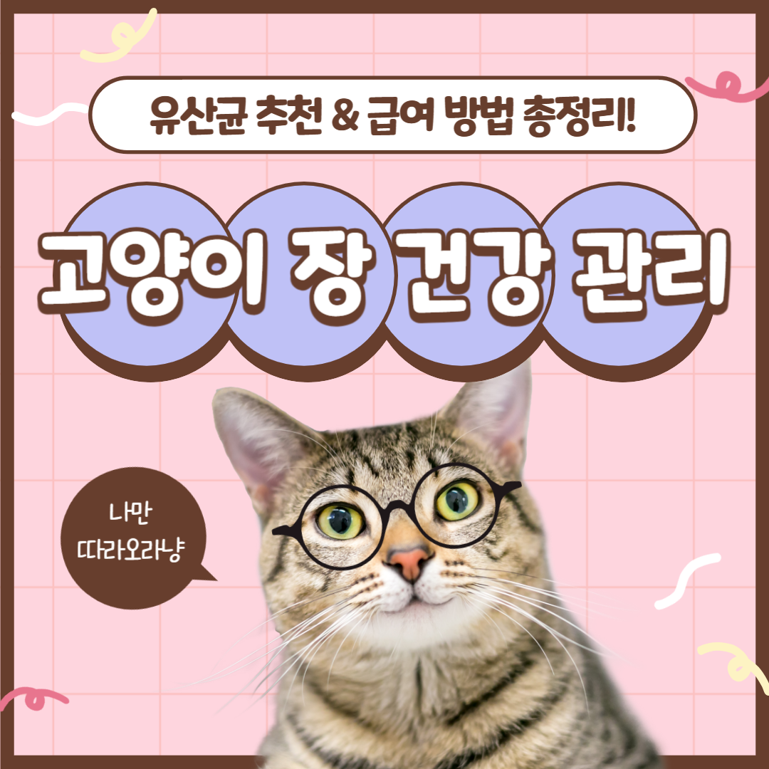 고양이 유산균 추천
