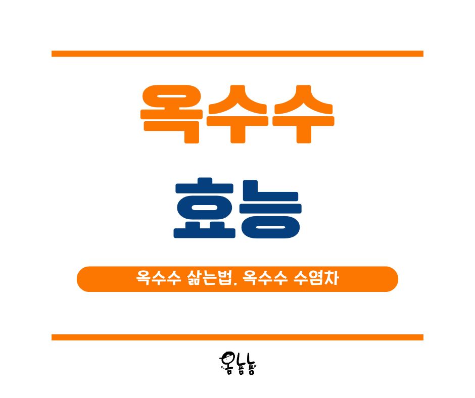 옥수수 효능