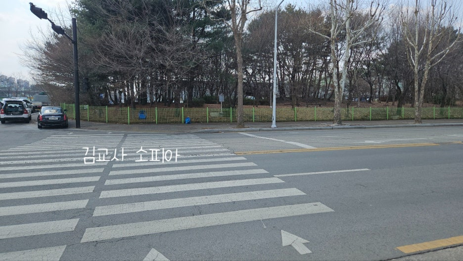 고양피크닉시민 공원 이용 후기 🏞️🌿& 팁