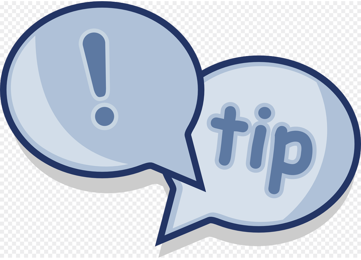 처음 비건이 된 사람들을 위한 실전 생존 팁 7가지