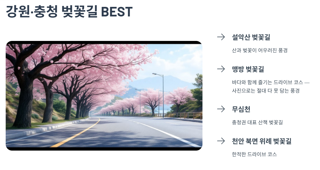 강원&middot;충청 벚꽃길 BEST