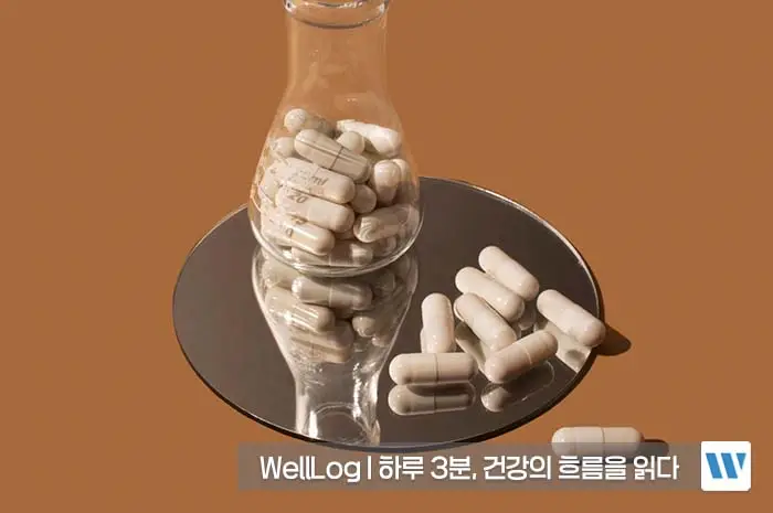 콘드로이친 효능