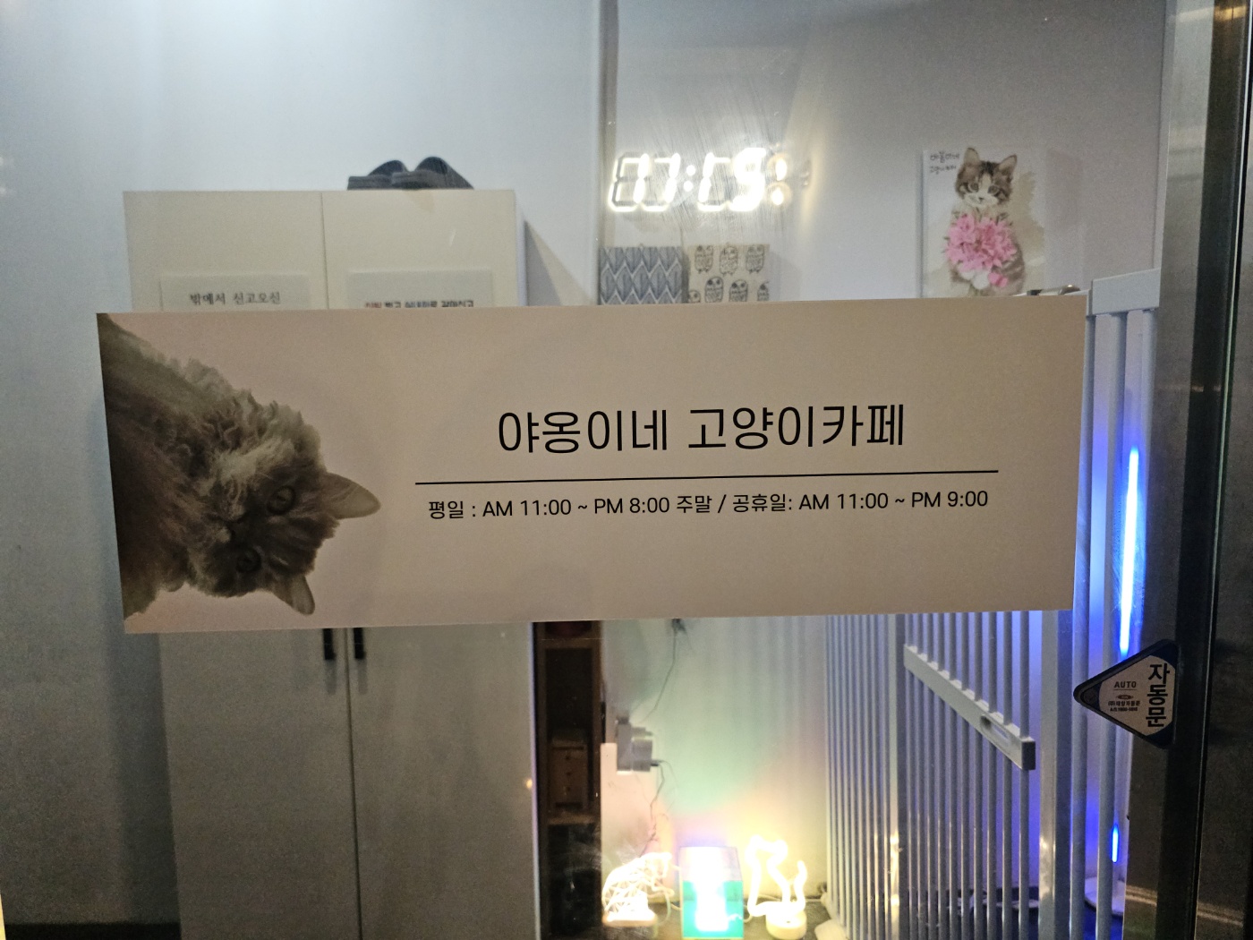 야옹이네 고양이 카페