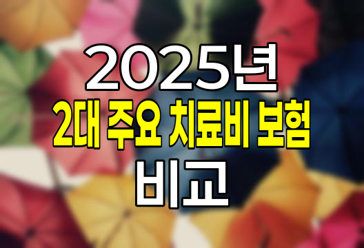 2025년 2대 주요 치료비 보험 비교 분석