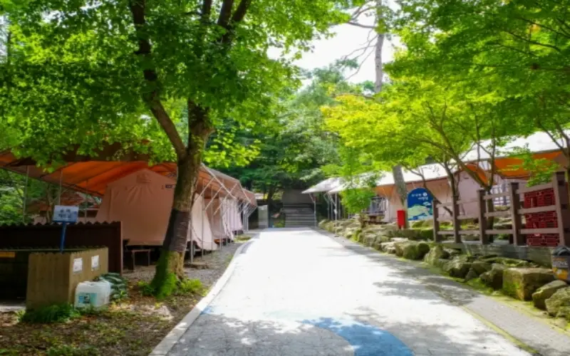 서울대공원 캠핑장