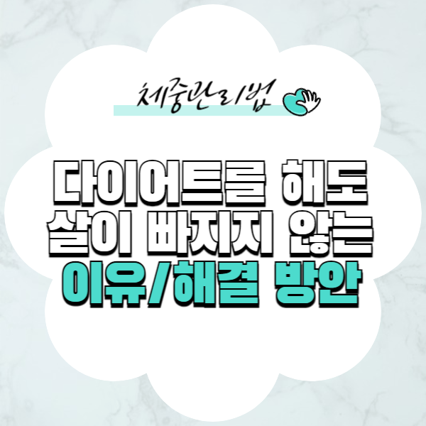 다이어트를 해도 살이 빠지지 않는 이유 해결방안