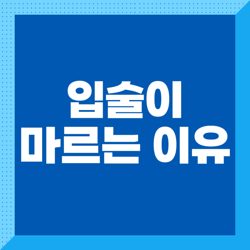 입술이 마르는 이유