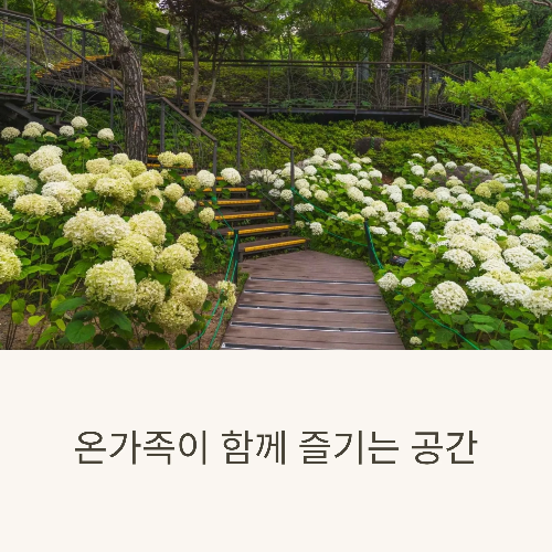 화담숲 수국축제