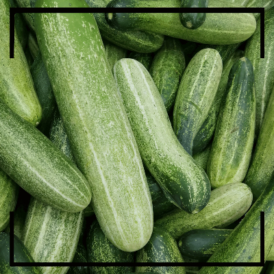 통풍에 좋은 음식