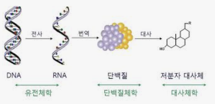 장-뇌 축(gut-brain axis) 대사체 네트워크 분석 – 신경질환 biomarker 탐색
