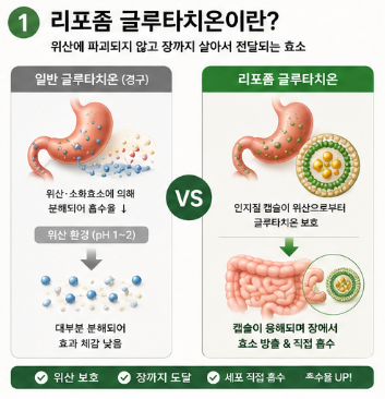 리포좀-글루타치온-효능-성분-부작용-가격-추천