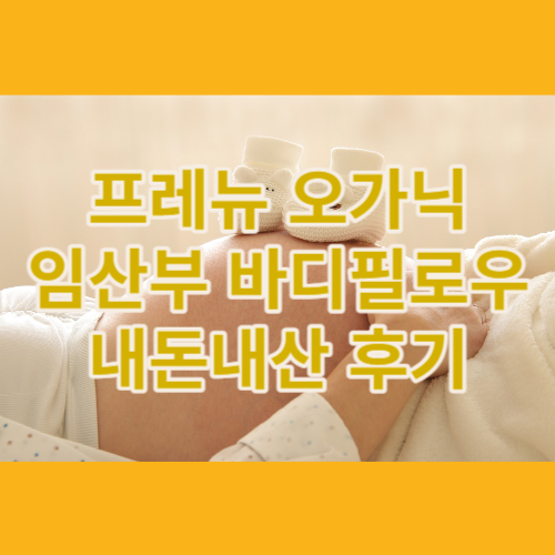 임산부바디필로우내돈내산
