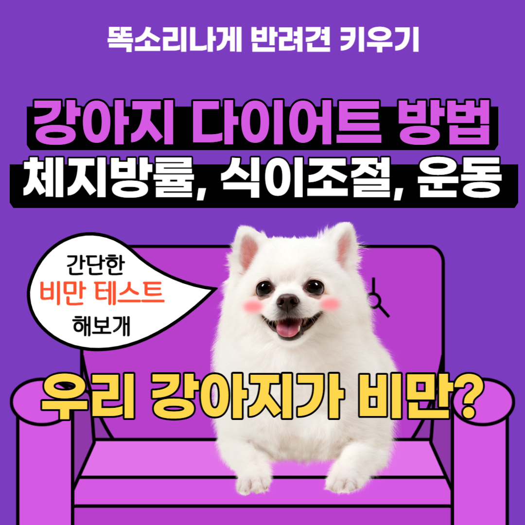강아지 다이어트 방법