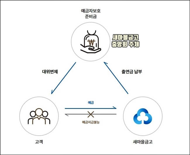 새마을금고 예금자보호 도표