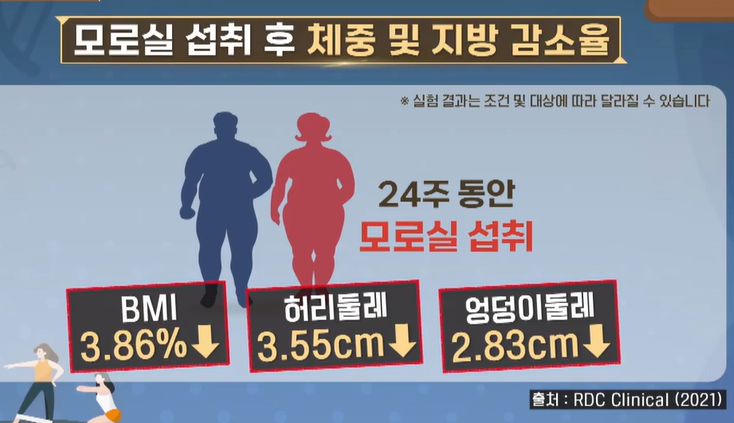 모로실 효능