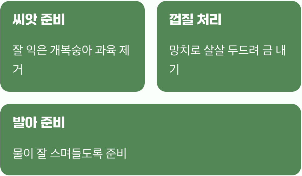 딱딱한 껍질 속에 숨은 생명의 씨앗