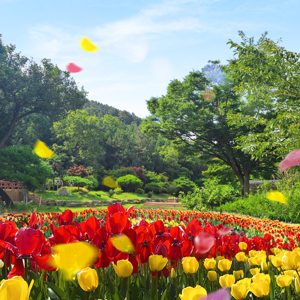 장흥 하늘빛수목원