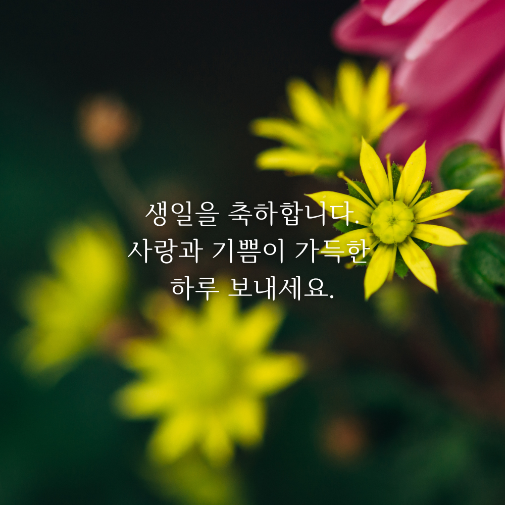 생일 축하 메세지 이미지 생일 축하 꽃다발 이미지 문구 모음