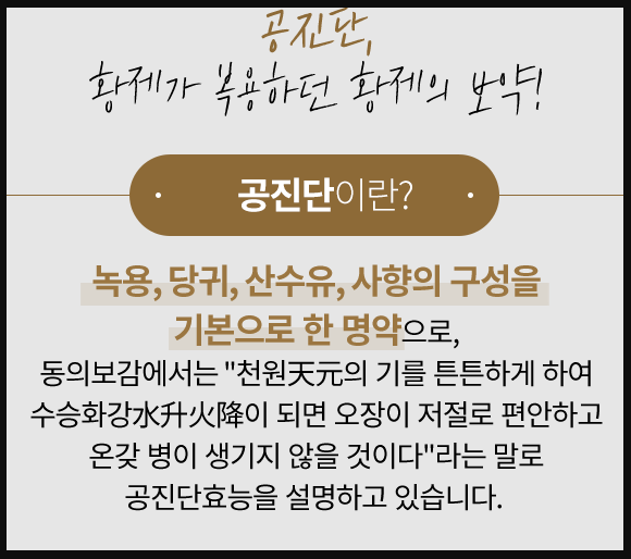 공진단이란?