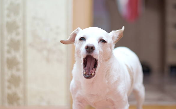 왜 짓지? 이유가 있습니다.