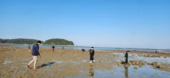 무창포 해수욕장 여행코스 바다 갈라짐 시간표 포함 정리_11